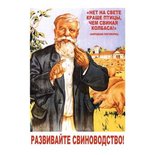 Плакат СТ-Диалог Развивайте свиноводство!, СОВ-011, лам.бумага, 40х60 см в Уютерра